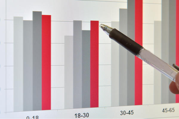 Jährliche Bestandserhebung (Mitgliederstatistik)