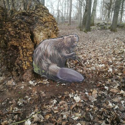Bild vergrößern: Pirschpfad im Wildpark am Baggersee